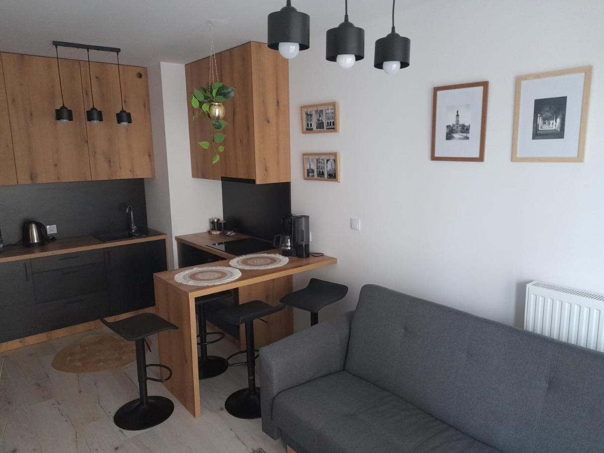 Apartament Amelia Zamosc  Exterior photo