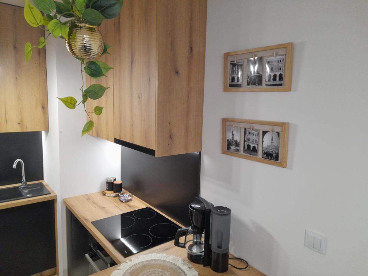 Apartament Amelia Zamosc  Exterior photo